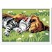Ravensburger 27854 - Tiefer Schlaf - Malen nach Zahlen, 13 x 18 cm