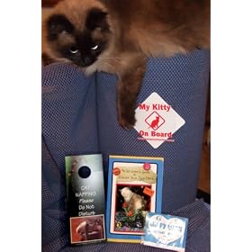 The House Hunting Kit for Cat Lovers