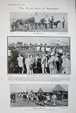 1908 ROYAL SHOW NEWCASTLE PONIES COWS CROMER GOLF CLUB