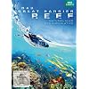 Das Great Barrier Reef - Naturwunder der Superlative