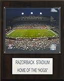 IMAGE OF NCAA Football Razorback Stadium Stadium Plaque
