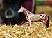 Revell X-Ray Horse Anatomy Models_s-2