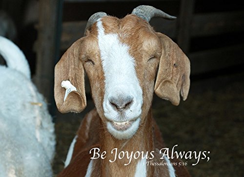 The Happy Goat 5″x7″ Indoor/Outdoor Hanging Wall Plaque The Happy Goat 5″x7″ Indoor/Outdoor Hanging Wall Plaque
