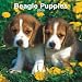   - Beagle Puppies 2009 Wall Calendar