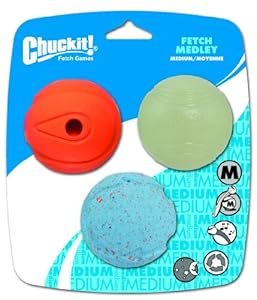 Chuckit! Medium Fetch Medley Balls 2.5-Inch, 3-Pack