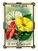 Four O'Clock Seed Packet Premium Giclee Poster Print, 18x24