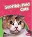 scottish_fold3scottish fold - Scottish Fold Cats Pebble Books