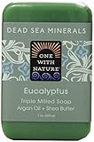 UPC 812281010407 product image for One With Nature Eucalyptus Dead Sea Mineral Soap, 7 Ounce Bar | upcitemdb.com