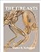 The Fire Ants