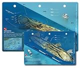 3D Benwood - Key Largo FL, Waterproof Dive Site Card