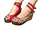 AvaCostume Women's Embroidery Floral Strappy Round Toe Platform Wedges