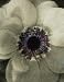 Color Middle by David Roseburg - 24