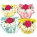 PanDaDa Puppy Pet Dog Flower Sanitary Panty Pant Lace Diaper Underwear Green X-Small