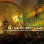 Acoustic christmas guitar instrumentals (By an international selection of acoustic guitarists)