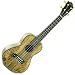 Lanikai SM-CE Spalted Mango Concert Acoustic/Electric Ukulele Lanikai SM-CE Spalted Mango Concert Acoustic/Electric Ukulele