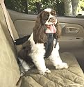 Solvit Med Pet Vehicle Safety Harness