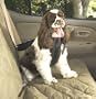 Solvit 62295 Pet Vehicle Safety Harness, Medium