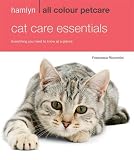 Cat care essentials