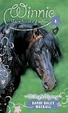 Midnight Mystery: 4 (Winnie the Horse Gentler)