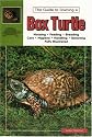 The Guide to Owning a Box Turtle