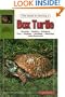 The Guide To Owning A Box Turtle