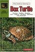The Guide to Owning a Box Turtle