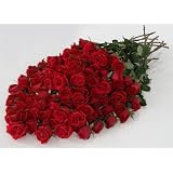Send Fresh Cut Flowers - 100 Long Stem Red Roses