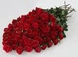 Send Fresh Cut Flowers - 100 Long Stem Red Roses