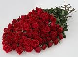 Send Fresh Cut Flowers - 100 Long Stem Red Roses