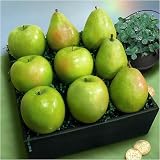 Lucky Fruit