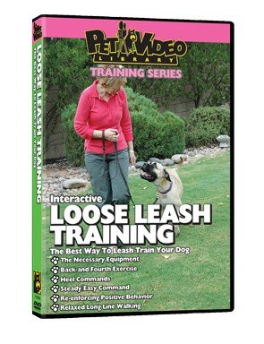Dog Loose Leash Training DVD