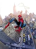 Amazing Spider-man #700 Coipel Variant Retailer Incentive Final Issue