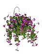 Artificial Petunia Hanging Basket, Orchid Pink