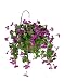 Artificial Petunia Hanging Basket, Orchid Pink
