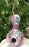 Rb's Custom Hand Painted Natural Gourd Bird House