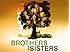 Brothers & Sisters Season 3