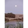 Panasonic DMC-TZ7EG-K Digitalkamera (10 Megapixel,&hellip von Panasonic