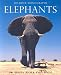 Elephants (Wildlife Monographs)