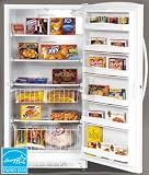 Review Woods  / Woods F2017RW3 20.1 cu. ft. Upright Freezer with 4 Wire Shelves, Frost Free, 2 Baskets, Key-Eject Lock, Temperature Alarm, Fast Freeze Setting, Optional Ice Maker and Energy Star Qualified
