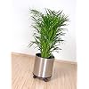 Blumen-�bertopf 30 � cm, Ma�e ca. 30 � x 30 cm H�he, aus Edelstahl