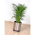 Blumen-�bertopf 30 � cm, Ma�e ca. 30 � x 30 cm H�he, aus Edelstahl