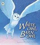 White owl, barn owl
