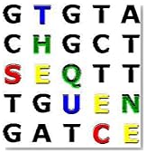 The Sequence