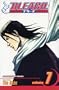 Bleach, Vol. 7