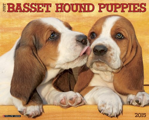 Just Basset Hound Puppies 2015 Wall Calendar
