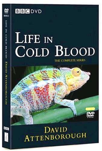 Childrens Toyshop  DVD : Life In Cold Blood