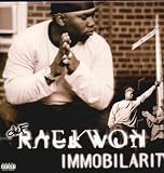 Immobilarity [VINYL]