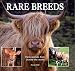 Rare Breeds: Farm Animals from Around the World