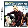 Cesar Milan Dog Whisperer