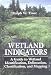 Wetland Indicators: A Guide to Wetland Identification, Delineation, Classification, and Mapping